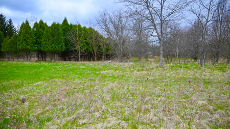 15 Acre Hunting Land in Potterville MI - image 22