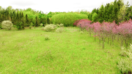 15 Acre Hunting Land in Potterville MI - image 7