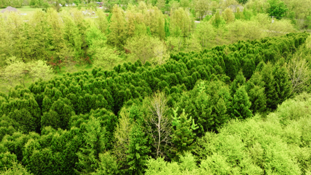 15 Acre Hunting Land in Potterville MI - image 11