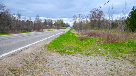 15 Acre Hunting Land in Potterville MI - image 14