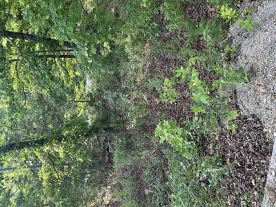 Pomme De Terre lake lot with lakeview and utilities - image 4