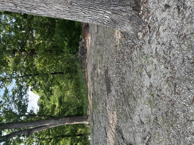 Pomme De Terre lake lot with lakeview and utilities - image 3