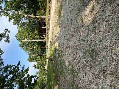 Pomme De Terre lake lot with lakeview and utilities - image 1