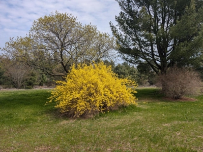 Home in Harrisville MI near Lake Huron - image 14