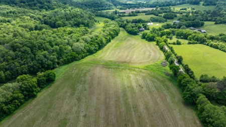 Land for Sale in Maury County, Tennessee - image 32