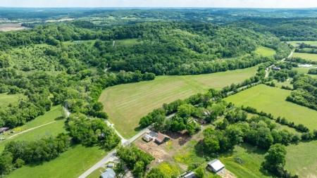 Land for Sale in Maury County, Tennessee - image 2