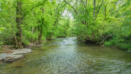 Land for Sale in Maury County, Tennessee - image 47