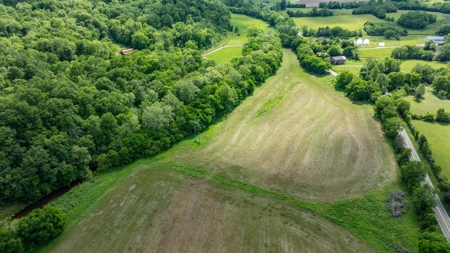 Land for Sale in Maury County, Tennessee - image 29