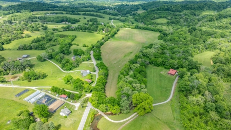 Land for Sale in Maury County, Tennessee - image 9