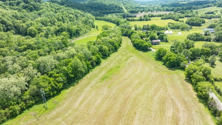 Land for Sale in Maury County, Tennessee - image 39
