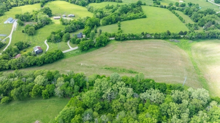 Land for Sale in Maury County, Tennessee - image 16