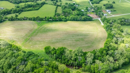 Land for Sale in Maury County, Tennessee - image 11