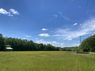 Potential Hunting Land for Sale in Linden, Tennessee - image 45