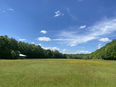 Potential Hunting Land for Sale in Linden, Tennessee - image 47