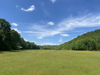 Potential Hunting Land for Sale in Linden, Tennessee - image 9