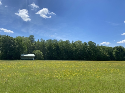 Potential Hunting Land for Sale in Linden, Tennessee - image 42