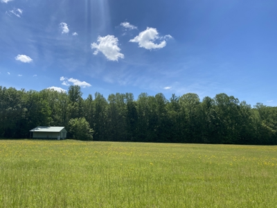Potential Hunting Land for Sale in Linden, Tennessee - image 43