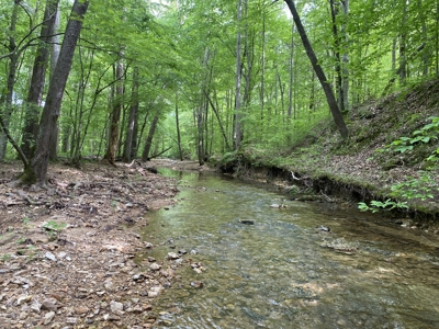 Potential Hunting Land for Sale in Linden, Tennessee - image 4