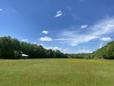 Potential Hunting Land for Sale in Linden, Tennessee - image 49