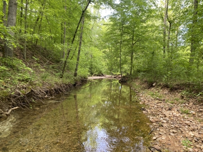 Potential Hunting Land for Sale in Linden, Tennessee - image 5