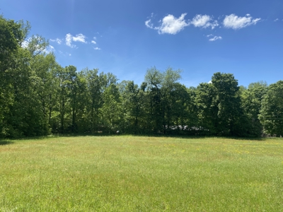 Potential Hunting Land for Sale in Linden, Tennessee - image 48