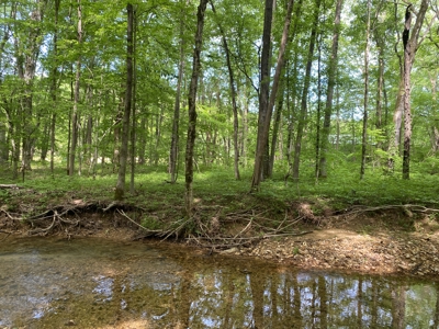 Potential Hunting Land for Sale in Linden, Tennessee - image 12