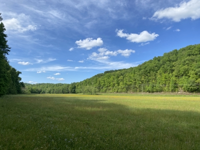 Potential Hunting Land for Sale in Linden, Tennessee - image 28