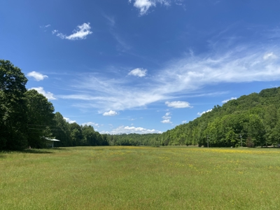 Potential Hunting Land for Sale in Linden, Tennessee - image 7