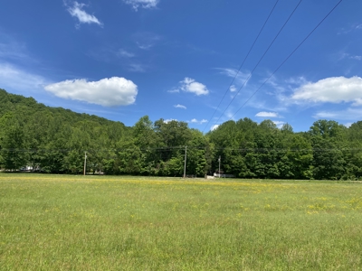 Potential Hunting Land for Sale in Linden, Tennessee - image 11