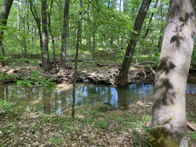 Potential Hunting Land for Sale in Linden, Tennessee - image 15