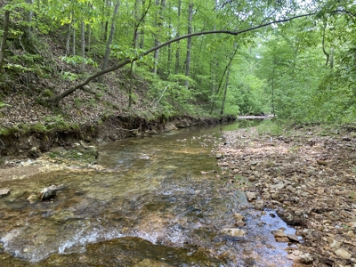 Potential Hunting Land for Sale in Linden, Tennessee - image 3
