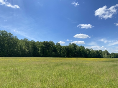 Potential Hunting Land for Sale in Linden, Tennessee - image 23