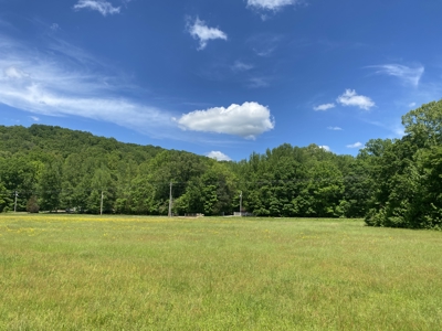 Potential Hunting Land for Sale in Linden, Tennessee - image 10