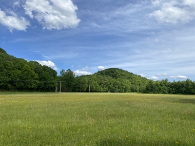 Potential Hunting Land for Sale in Linden, Tennessee - image 27