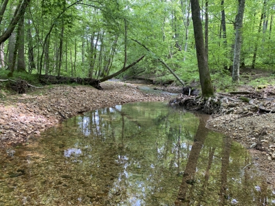Potential Hunting Land for Sale in Linden, Tennessee - image 22
