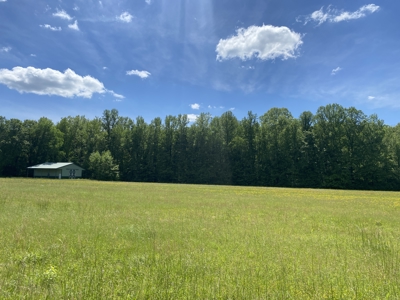 Potential Hunting Land for Sale in Linden, Tennessee - image 25