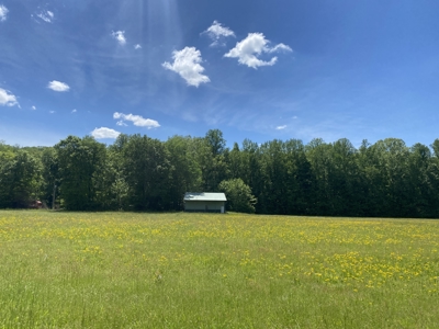 Potential Hunting Land for Sale in Linden, Tennessee - image 41