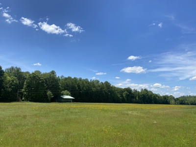 Potential Hunting Land for Sale in Linden, Tennessee - image 46