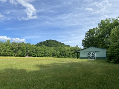 Potential Hunting Land for Sale in Linden, Tennessee - image 29