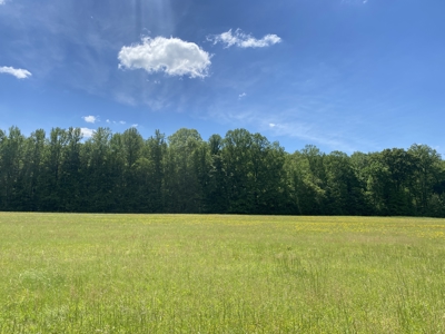 Potential Hunting Land for Sale in Linden, Tennessee - image 24