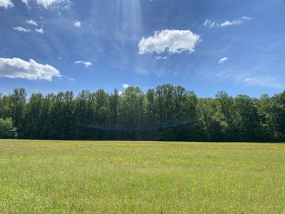 Potential Hunting Land for Sale in Linden, Tennessee - image 26