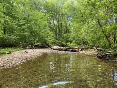Potential Hunting Land for Sale in Linden, Tennessee - image 6
