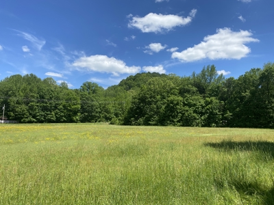Potential Hunting Land for Sale in Linden, Tennessee - image 31