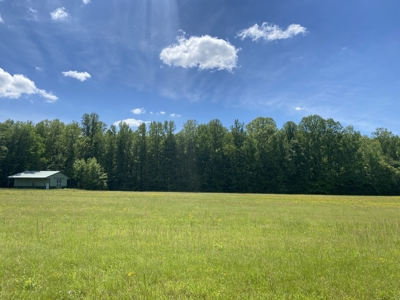 Potential Hunting Land for Sale in Linden, Tennessee - image 44