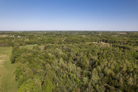40 Acres Caldwell County MO – Hunting Land with Scenic Build Site - image 4