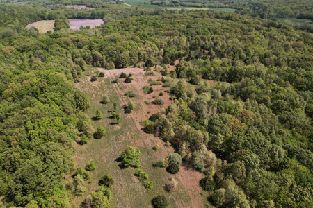 40 Acres Caldwell County MO – Hunting Land with Scenic Build Site - image 18