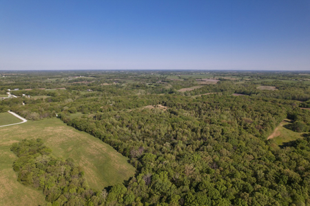 40 Acres Caldwell County MO – Hunting Land with Scenic Build Site - image 7