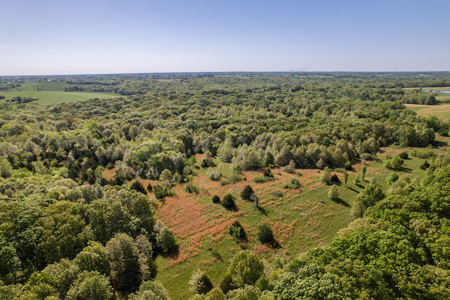40 Acres Caldwell County MO – Hunting Land with Scenic Build Site - image 8