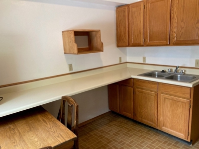 Mountain Townhome for Sale in Ouray, Colorado - image 17