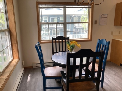 Mountain Townhome for Sale in Ouray, Colorado - image 7